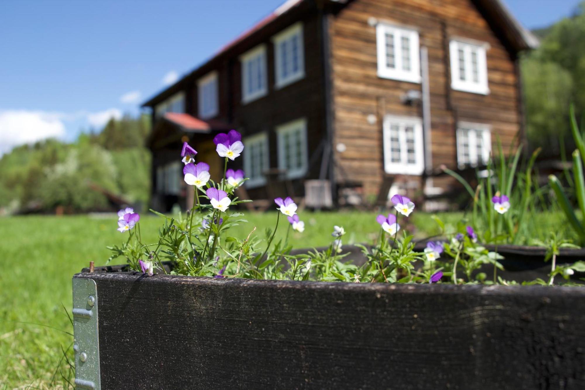 Rodberg Sevletunet B&B And Cabins מראה חיצוני תמונה