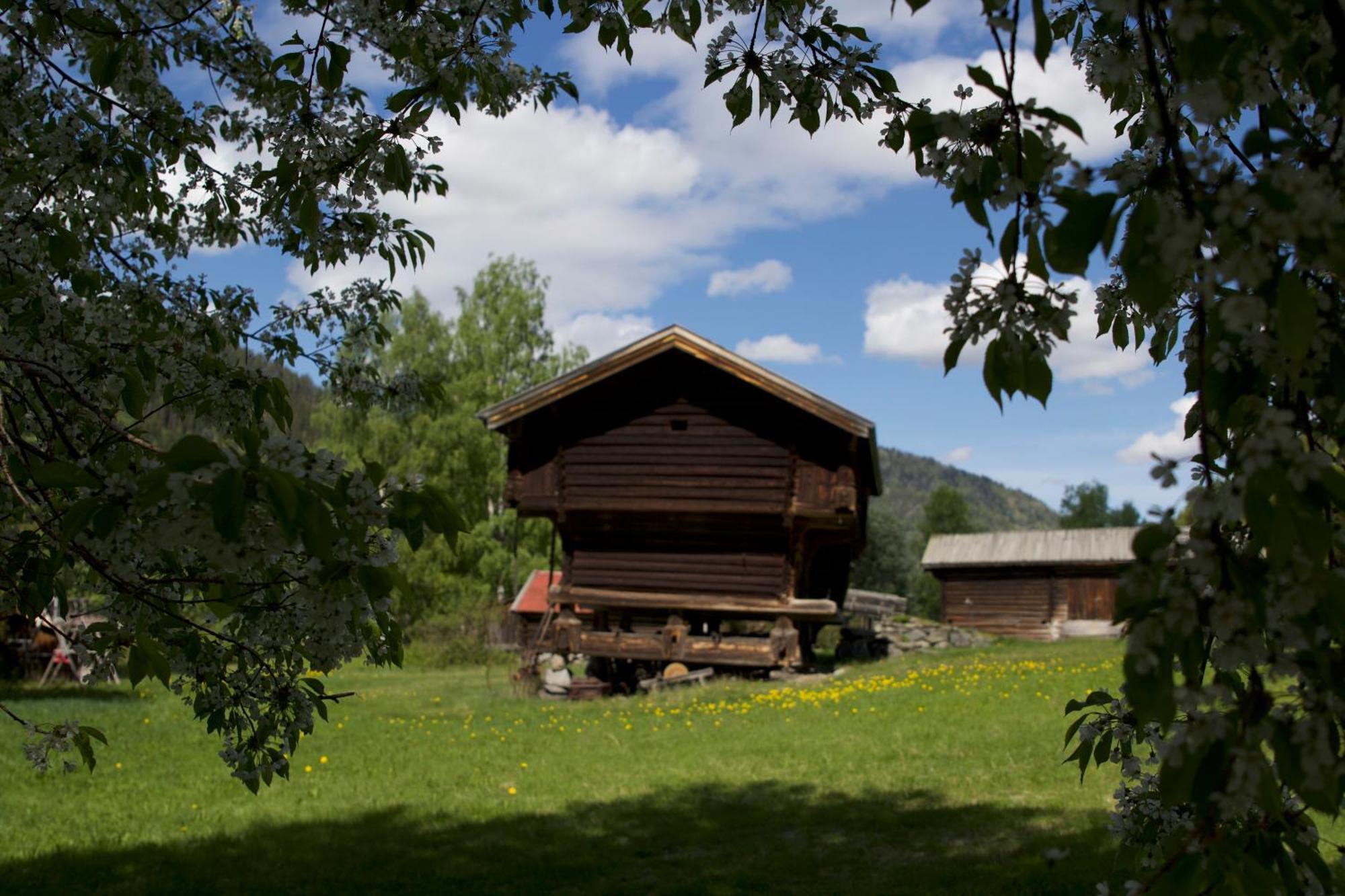 Rodberg Sevletunet B&B And Cabins מראה חיצוני תמונה